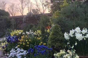 Design Your Dream Chosen Garden Space: Tips & Ideas | The Ultimate Gardening Guide: Grow a Thriving Garden Year-Round
