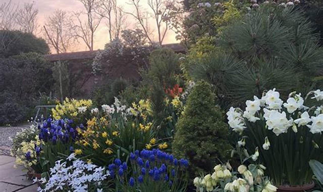 Design Your Dream Chosen Garden Space: Tips & Ideas | The Ultimate Gardening Guide: Grow a Thriving Garden Year-Round