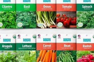 Buy Fresh Kitchen Garden Seeds Online: Grow Your Own! | The Ultimate Gardening Guide: Grow a Thriving Garden Year-Round