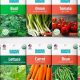 Buy Fresh Kitchen Garden Seeds Online: Grow Your Own! | The Ultimate Gardening Guide: Grow a Thriving Garden Year-Round