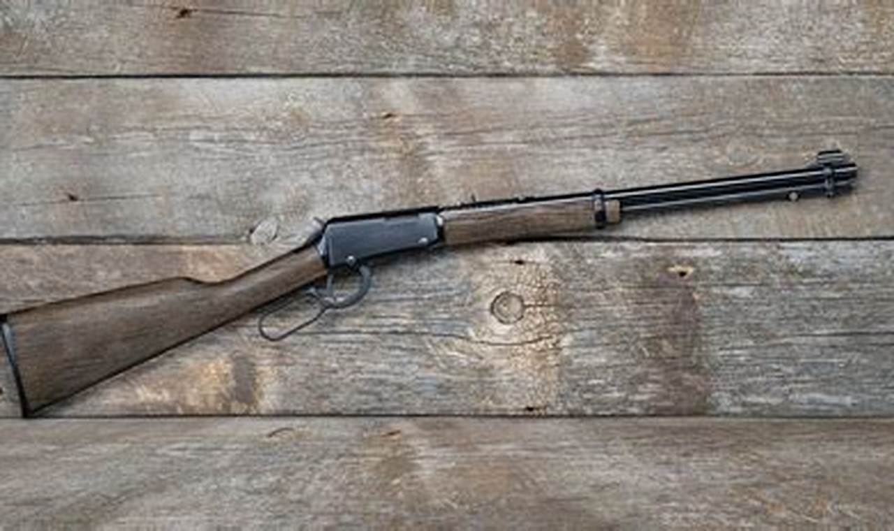 Henry Garden Gun: Pest Control in Your Garden Today The Ultimate Gardening Guide: Grow a Thriving Garden Year-Round Henry Garden Gun: Pest Control in Your Garden Today | The Ultimate Gardening Guide: Grow a Thriving Garden Year-Round