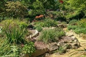 Discover WPA Rock Gardens: Historical Stone Landscapes The Ultimate Gardening Guide: Grow a Thriving Garden Year-Round Discover WPA Rock Gardens: Historical Stone Landscapes | The Ultimate Gardening Guide: Grow a Thriving Garden Year-Round