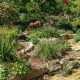 Discover WPA Rock Gardens: Historical Stone Landscapes | The Ultimate Gardening Guide: Grow a Thriving Garden Year-Round