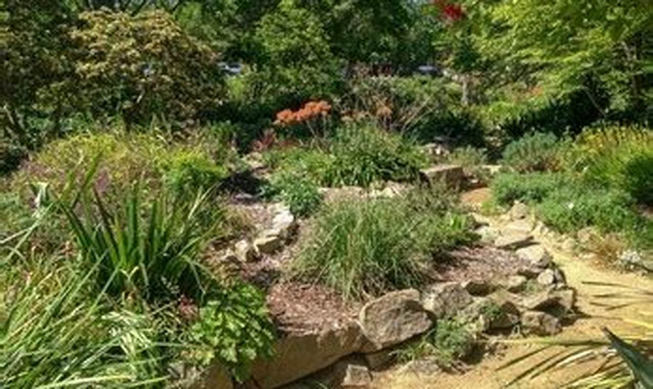 Discover WPA Rock Gardens: Historical Stone Landscapes The Ultimate Gardening Guide: Grow a Thriving Garden Year-Round Discover WPA Rock Gardens: Historical Stone Landscapes | The Ultimate Gardening Guide: Grow a Thriving Garden Year-Round