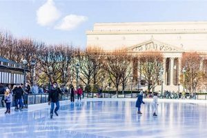 Explore: Ice Skating Sculpture Garden Wonders! The Ultimate Gardening Guide: Grow a Thriving Garden Year-Round Explore: Ice Skating Sculpture Garden Wonders! | The Ultimate Gardening Guide: Grow a Thriving Garden Year-Round