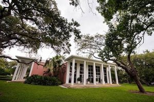 Discover Tampa Federation Garden Clubs: Bloom in Tampa! | The Ultimate Gardening Guide: Grow a Thriving Garden Year-Round