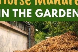 Boost Garden: Horse Manure for Garden Growth + Tips | The Ultimate Gardening Guide: Grow a Thriving Garden Year-Round