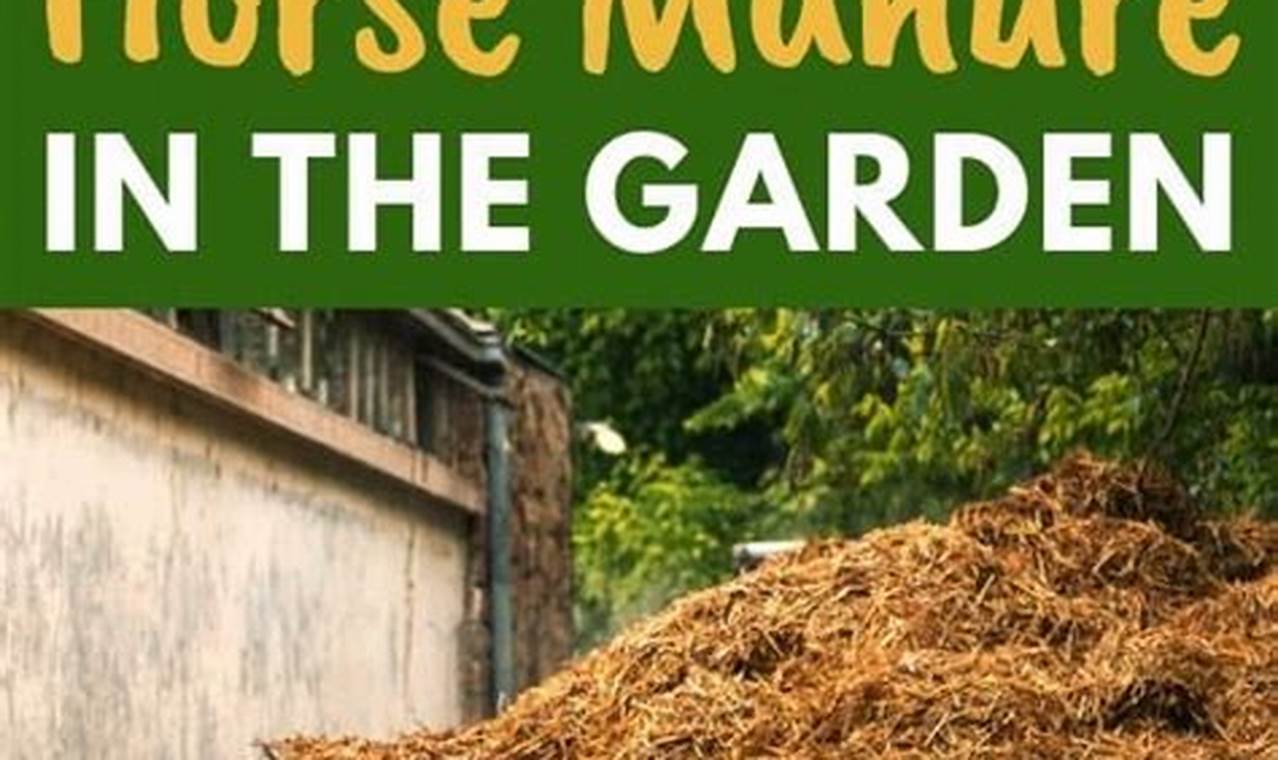 Boost Garden: Horse Manure for Garden Growth + Tips | The Ultimate Gardening Guide: Grow a Thriving Garden Year-Round