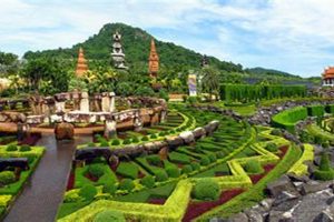 Bangkok Garden Oasis: Design & Serenity | The Ultimate Gardening Guide: Grow a Thriving Garden Year-Round