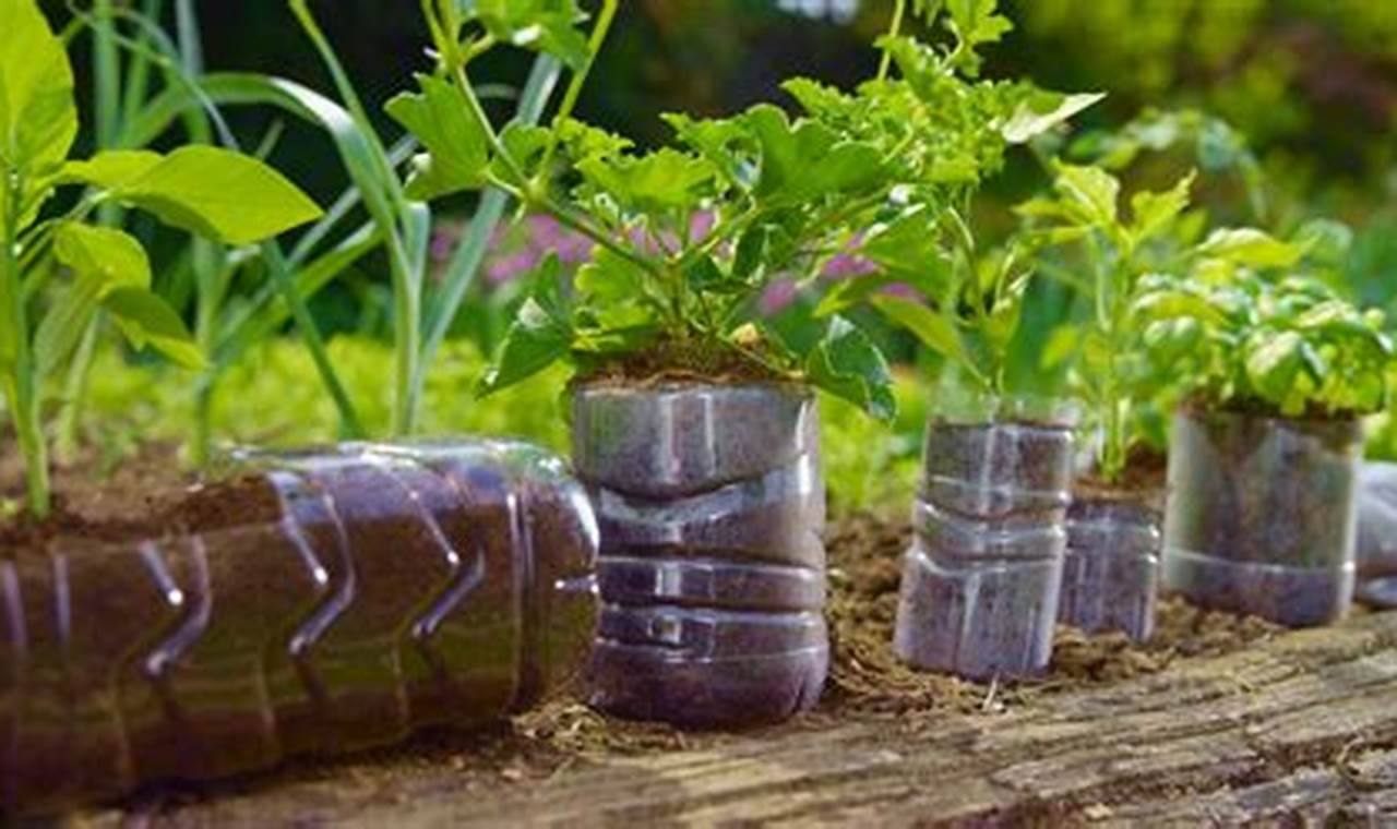 Eco-Friendly Garden with Plastic: Tips & Tricks | The Ultimate Gardening Guide: Grow a Thriving Garden Year-Round