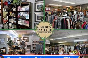Best Garden Patch Thrift Shoppe: Deals + More! | The Ultimate Gardening Guide: Grow a Thriving Garden Year-Round