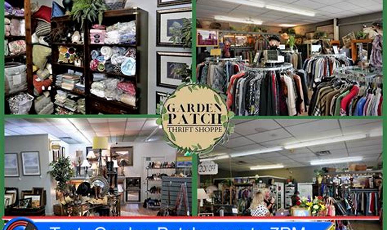 Best Garden Patch Thrift Shoppe: Deals + More! The Ultimate Gardening Guide: Grow a Thriving Garden Year-Round Best Garden Patch Thrift Shoppe: Deals + More! | The Ultimate Gardening Guide: Grow a Thriving Garden Year-Round