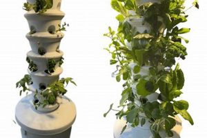 Grow an Air Garden: The Future of Vertical Gardens The Ultimate Gardening Guide: Grow a Thriving Garden Year-Round Grow an Air Garden: The Future of Vertical Gardens | The Ultimate Gardening Guide: Grow a Thriving Garden Year-Round