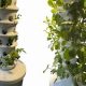 Grow an Air Garden: The Future of Vertical Gardens | The Ultimate Gardening Guide: Grow a Thriving Garden Year-Round