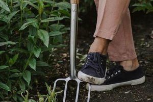 Best Garden Digging Forks: Tools & Tips! | The Ultimate Gardening Guide: Grow a Thriving Garden Year-Round