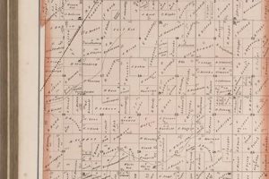 Explore Eco Green Garden Township Living: A Sustainable Paradise The Ultimate Gardening Guide: Grow a Thriving Garden Year-Round Explore Eco Green Garden Township Living: A Sustainable Paradise | The Ultimate Gardening Guide: Grow a Thriving Garden Year-Round