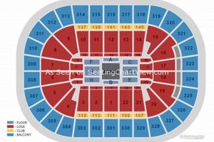 TD Garden Wrestling Seating: Your Best View Inside! | The Ultimate Gardening Guide: Grow a Thriving Garden Year-Round