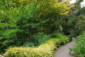 Visit Western Hills Garden Occidental: A Botanical Treasure The Ultimate Gardening Guide: Grow a Thriving Garden Year-Round Visit Western Hills Garden Occidental: A Botanical Treasure | The Ultimate Gardening Guide: Grow a Thriving Garden Year-Round