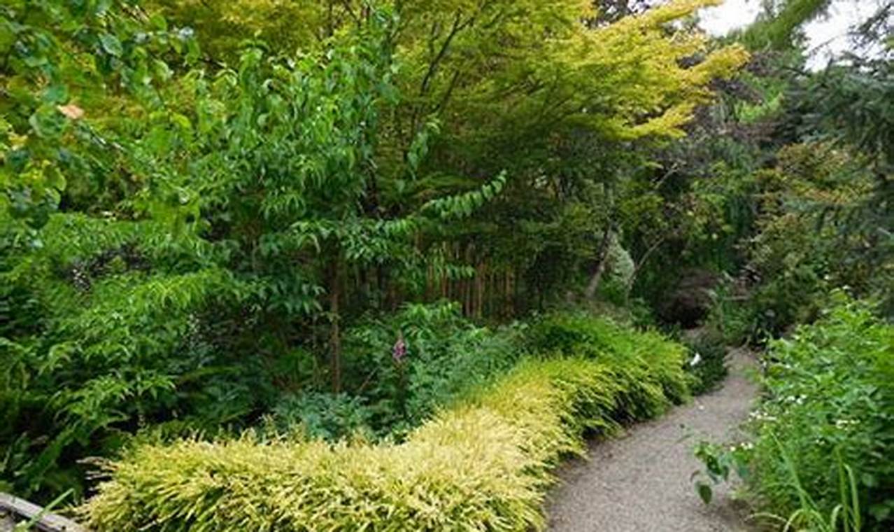 Visit Western Hills Garden Occidental: A Botanical Treasure | The Ultimate Gardening Guide: Grow a Thriving Garden Year-Round