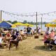 Best Lake Andrea Beer Garden: Your Lakeside Escape | The Ultimate Gardening Guide: Grow a Thriving Garden Year-Round