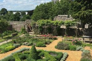 Discover Southampton's Tudor House & Garden Oasis | The Ultimate Gardening Guide: Grow a Thriving Garden Year-Round