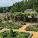 Discover Southampton's Tudor House & Garden Oasis | The Ultimate Gardening Guide: Grow a Thriving Garden Year-Round