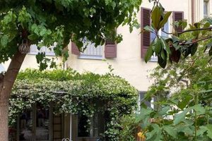 Secret Garden Firenze The Ultimate Gardening Guide: Grow a Thriving Garden Year-Round Secret Garden Firenze | The Ultimate Gardening Guide: Grow a Thriving Garden Year-Round