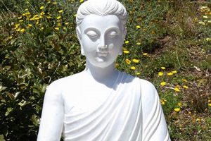 Serene Garden Buddha: Find Your Peace & Zen Decor The Ultimate Gardening Guide: Grow a Thriving Garden Year-Round Serene Garden Buddha: Find Your Peace & Zen Decor | The Ultimate Gardening Guide: Grow a Thriving Garden Year-Round
