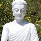 Serene Garden Buddha: Find Your Peace &amp; Zen Decor | The Ultimate Gardening Guide: Grow a Thriving Garden Year-Round