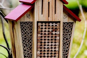 Attract Bees: Bee House for Garden Oasis & Pollination The Ultimate Gardening Guide: Grow a Thriving Garden Year-Round Attract Bees: Bee House for Garden Oasis & Pollination | The Ultimate Gardening Guide: Grow a Thriving Garden Year-Round