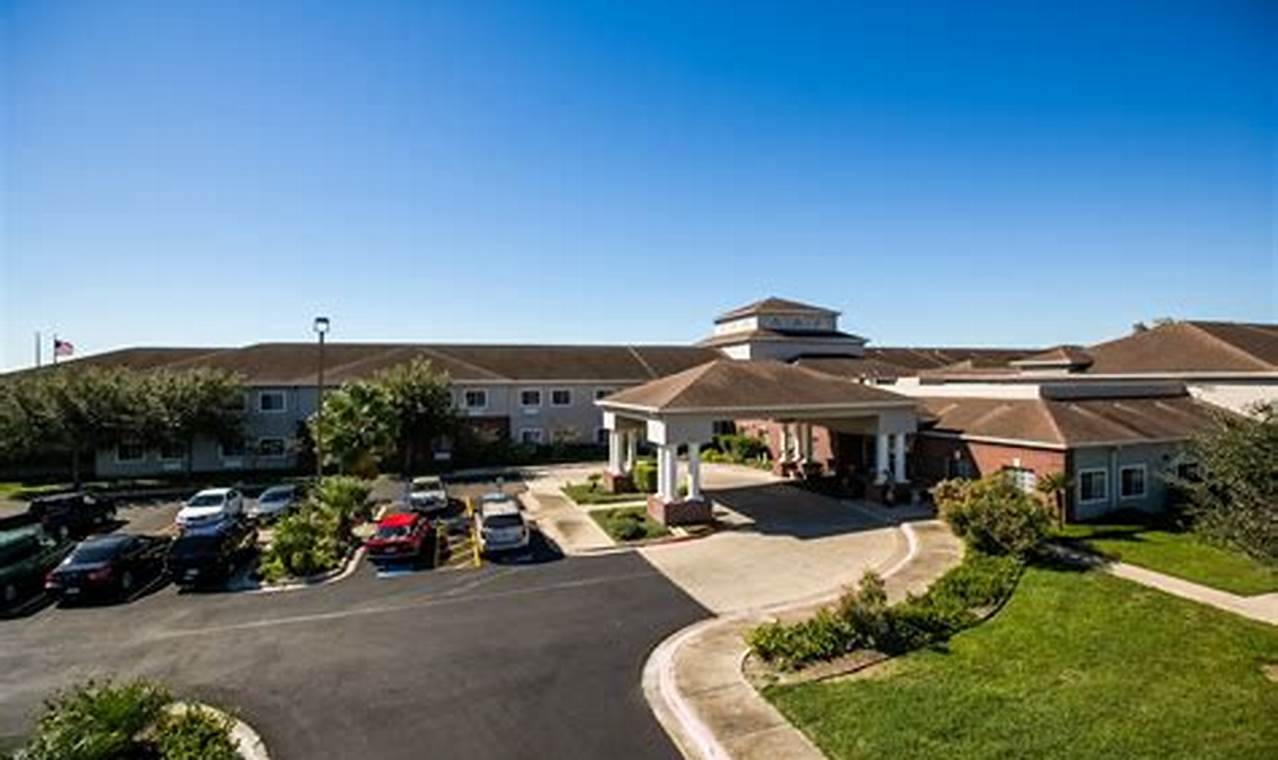 Discover Garden Estates Corpus Christi: Serene Living | The Ultimate Gardening Guide: Grow a Thriving Garden Year-Round