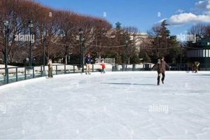 Discover Sculpture Garden Rink Fun: An Artistic Ice Oasis | The Ultimate Gardening Guide: Grow a Thriving Garden Year-Round