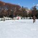 Discover Sculpture Garden Rink Fun: An Artistic Ice Oasis | The Ultimate Gardening Guide: Grow a Thriving Garden Year-Round