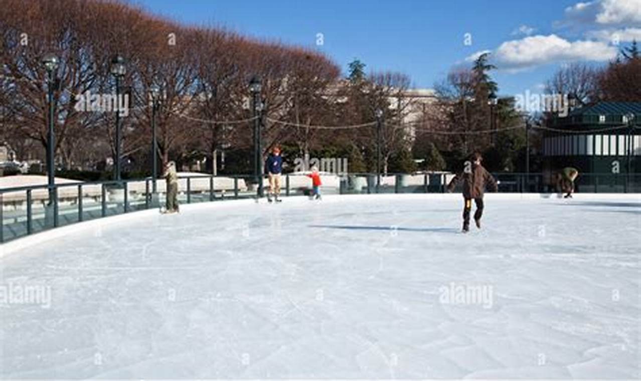 Discover Sculpture Garden Rink Fun: An Artistic Ice Oasis | The Ultimate Gardening Guide: Grow a Thriving Garden Year-Round