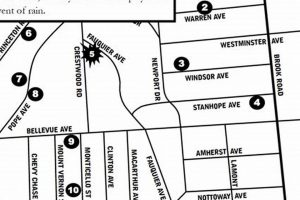 Explore Bucktown Garden Walk 2024: A Green Escape | The Ultimate Gardening Guide: Grow a Thriving Garden Year-Round