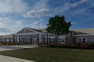 The Beauty of Anita's Garden: A Floral Oasis | The Ultimate Gardening Guide: Grow a Thriving Garden Year-Round