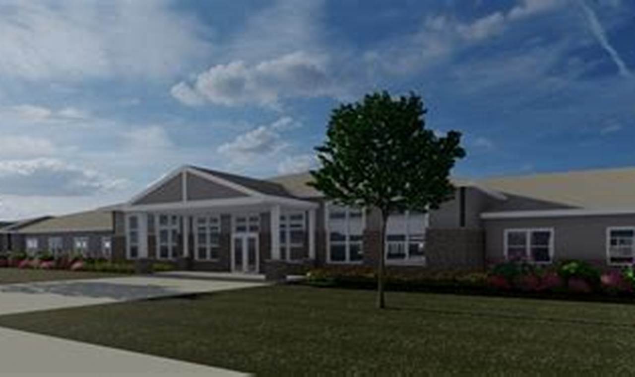 The Beauty of Anita's Garden: A Floral Oasis | The Ultimate Gardening Guide: Grow a Thriving Garden Year-Round