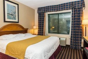 Escape to the Northeast Garden Inn: Your Garden Getaway! | The Ultimate Gardening Guide: Grow a Thriving Garden Year-Round