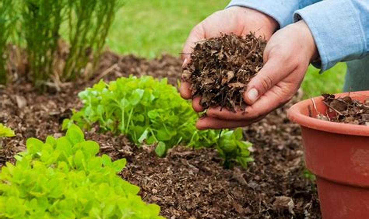 Best Organic Garden Mulch: Soil Health & Beauty | The Ultimate Gardening Guide: Grow a Thriving Garden Year-Round