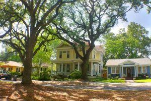 Exploring the Garden District Baton Rouge: A Green Oasis | The Ultimate Gardening Guide: Grow a Thriving Garden Year-Round