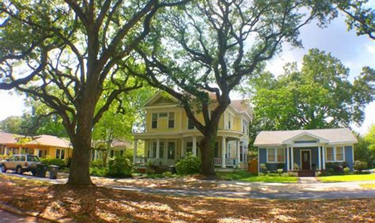 Exploring the Garden District Baton Rouge: A Green Oasis | The Ultimate Gardening Guide: Grow a Thriving Garden Year-Round