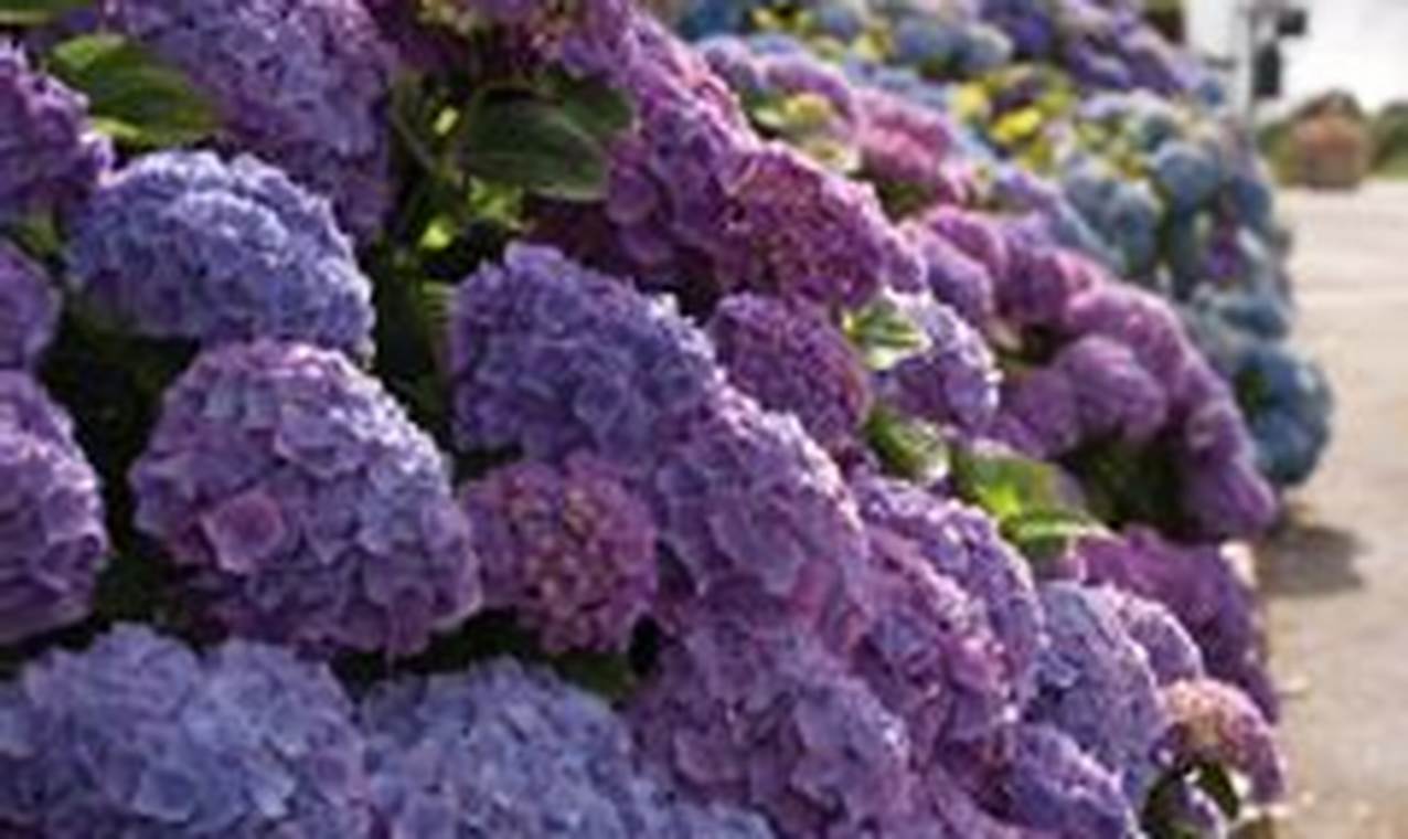 Discover: Post Road English Garden Ideas + Tips | The Ultimate Gardening Guide: Grow a Thriving Garden Year-Round