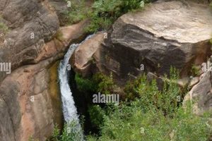 Discover Serene Garden Creek Waterfall Beauty + Tips | The Ultimate Gardening Guide: Grow a Thriving Garden Year-Round