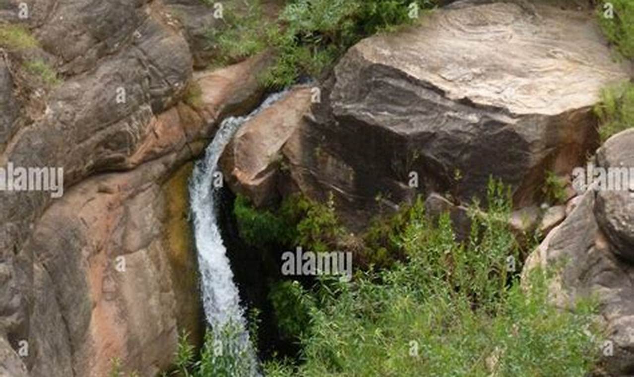 Discover Serene Garden Creek Waterfall Beauty + Tips | The Ultimate Gardening Guide: Grow a Thriving Garden Year-Round