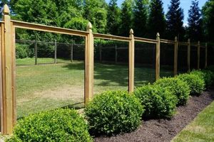 Protect Your Garden: Deer Garden Fence Ideas & Solutions | The Ultimate Gardening Guide: Grow a Thriving Garden Year-Round