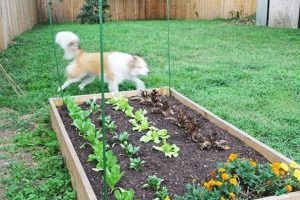 Easy Guide: How to Keep Dogs Out of Garden [Safely!] | The Ultimate Gardening Guide: Grow a Thriving Garden Year-Round