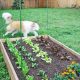 Easy Guide: How to Keep Dogs Out of Garden [Safely!] | The Ultimate Gardening Guide: Grow a Thriving Garden Year-Round
