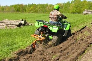 Best Garden Plow: Reviews & Soil Prep Tips | The Ultimate Gardening Guide: Grow a Thriving Garden Year-Round