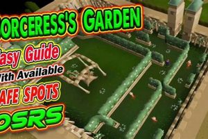 OSRS Sorceress Garden Guide: Seeds &amp; Maze Tips! | The Ultimate Gardening Guide: Grow a Thriving Garden Year-Round