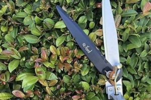 Top-Rated Best Garden Hand Pruners for Effortless Gardening | The Ultimate Gardening Guide: Grow a Thriving Garden Year-Round